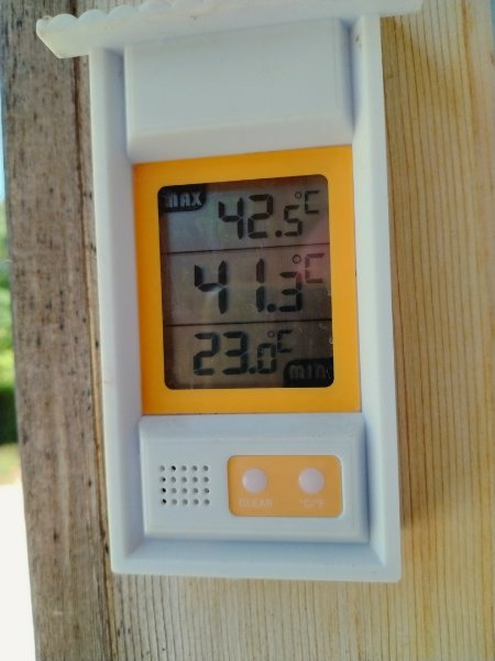 25 06 26.jpg