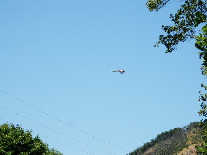 P7230655-r.jpg