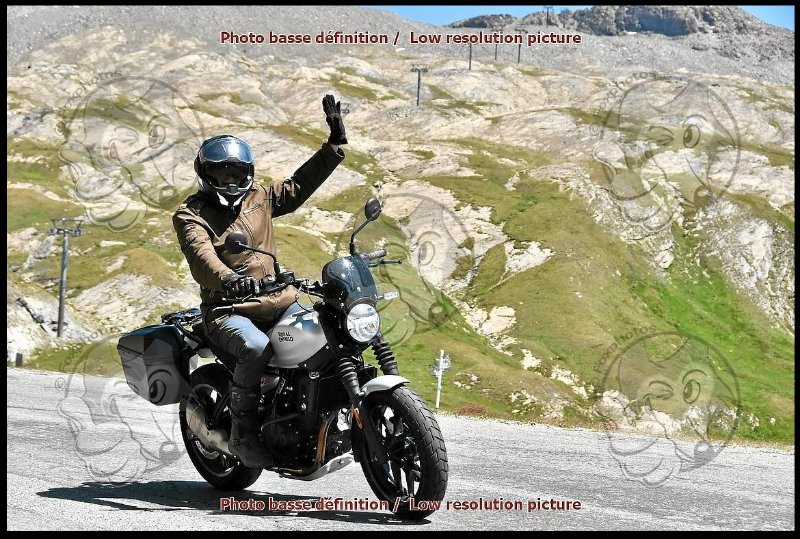 IseranFoxPhoto1.jpg