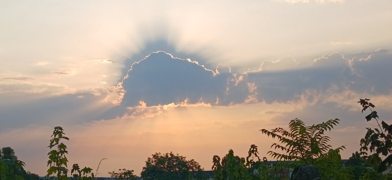 20260730_080135.jpg
