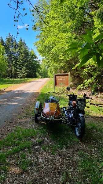 Route forestière des grandes ventes.jpg