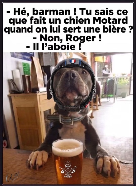 1c653c53-3159-4e00-93be-93d9f7c8edd0.jpeg