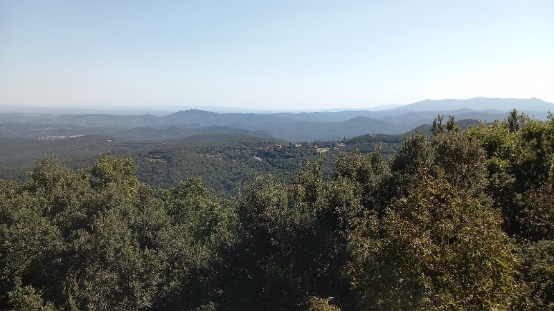 20260915_155044.jpg