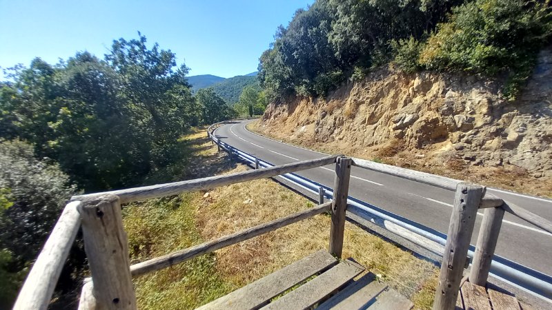 20260915_155110.jpg