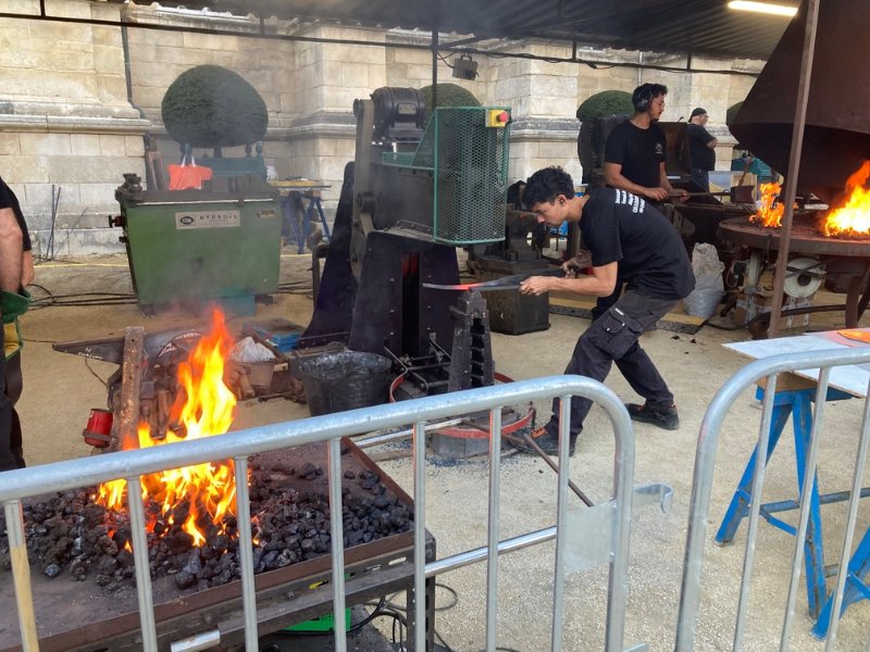 IMG_3981.jpg