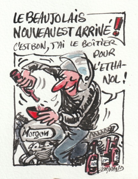 Beaujolais nouveau.jpeg