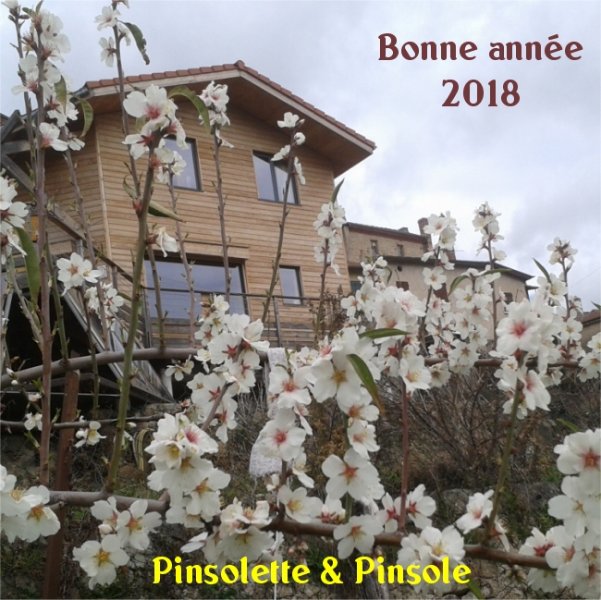 voeux-2018(P6750).jpg