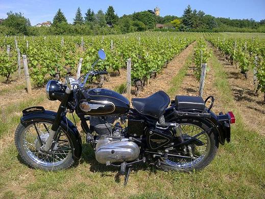 Monts du Beaujolais.jpg