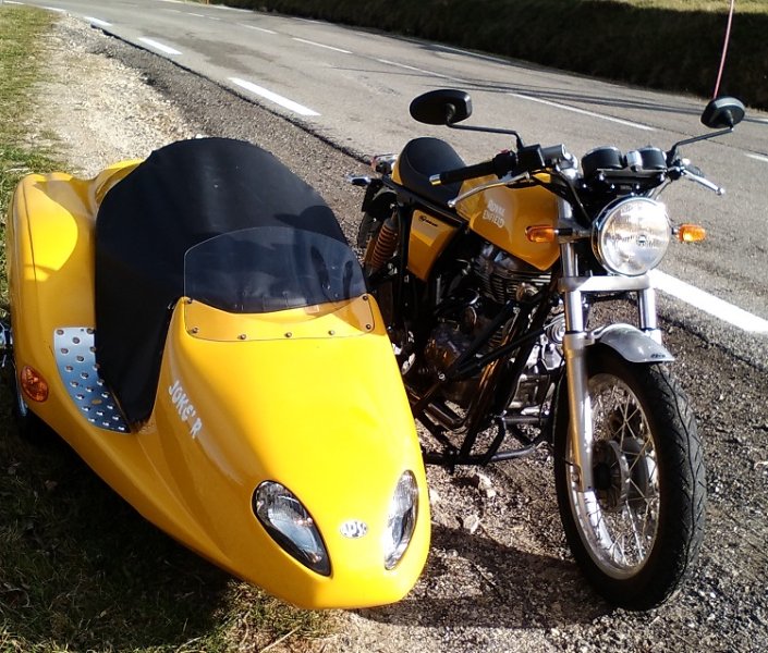 le petit jaune.jpg