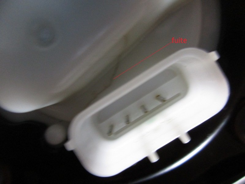 IMG_0009 - Copie.JPG