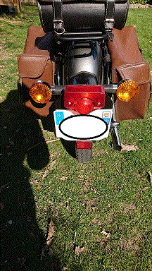 DSC_11032.gif