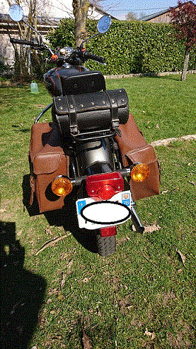 DSC_11041.gif
