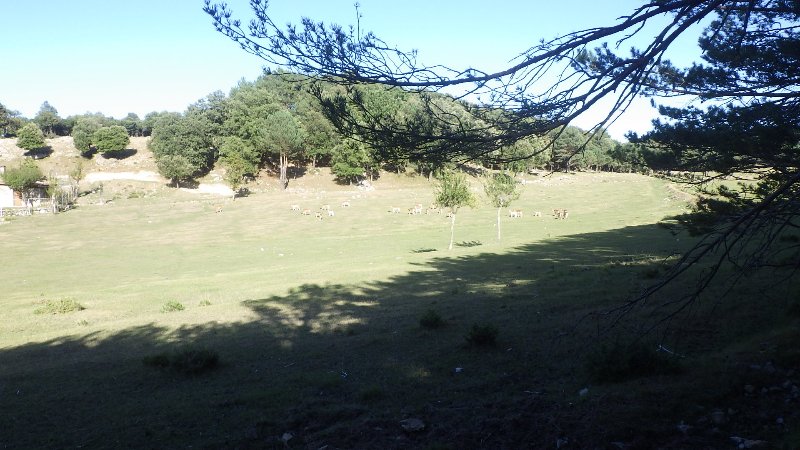 RIMG0570.JPG