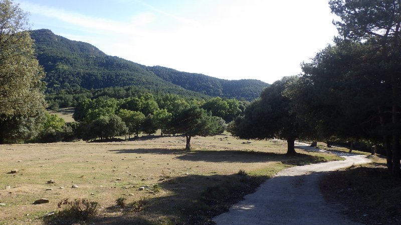 RIMG0575.JPG