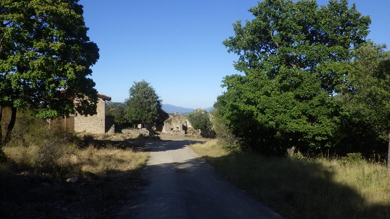 RIMG0591.JPG