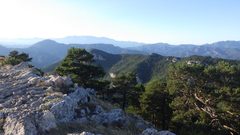 RIMG0613.JPG