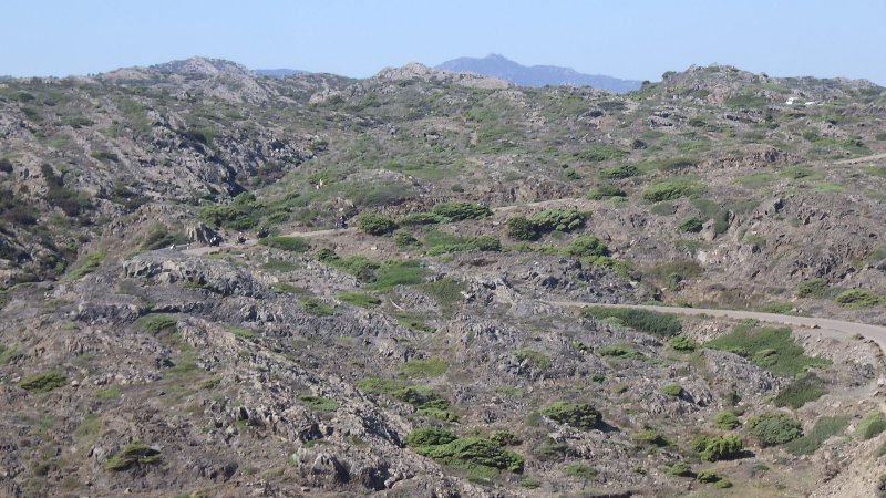 RIMG0959.JPG