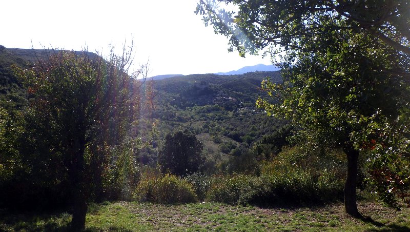 RIMG1504 - Copie.JPG