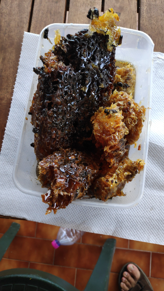 derniers rayons de soleil à déguster.png