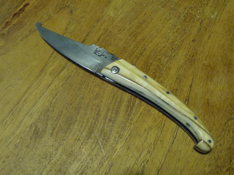 Najac ouvert.JPG