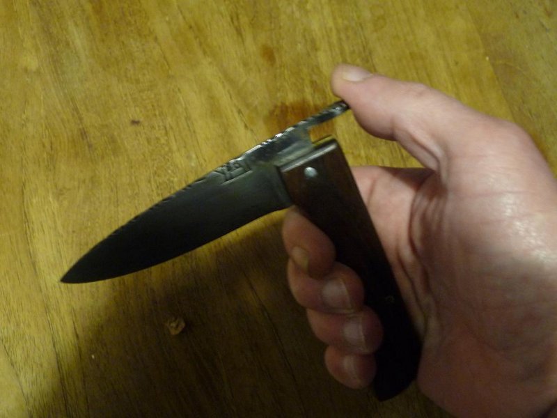 pliant 56 en main.JPG