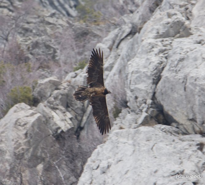 DSC_3045-1.jpg