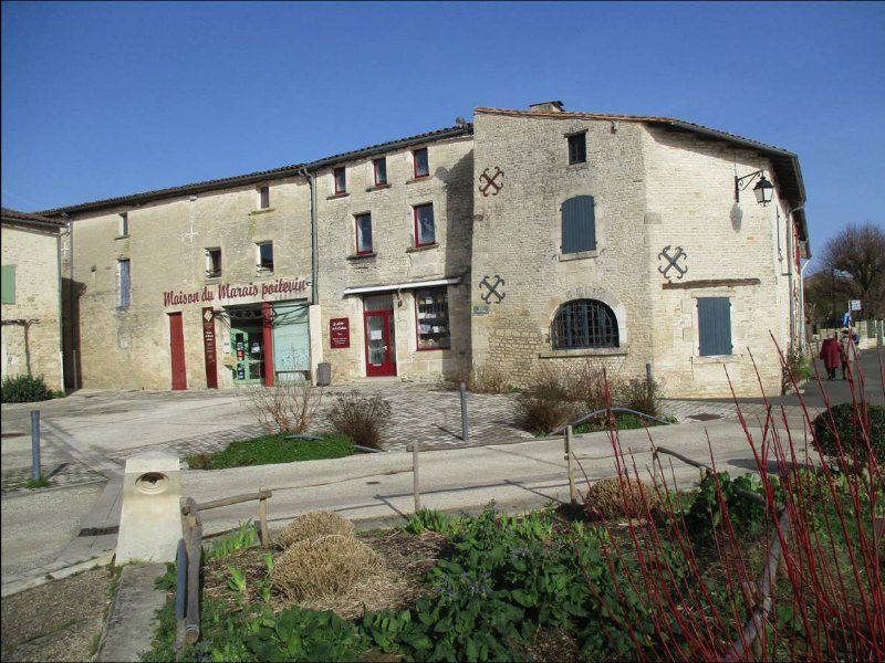 Image7.jpg