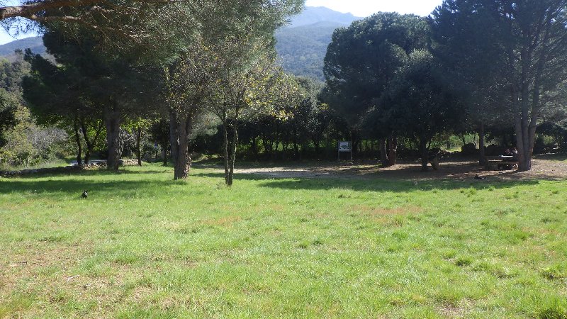 RIMG5614.JPG