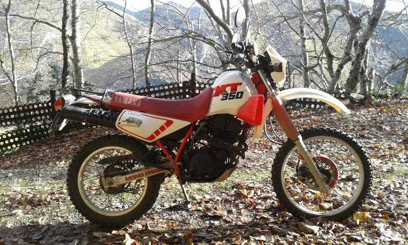 350 XT 3.jpg