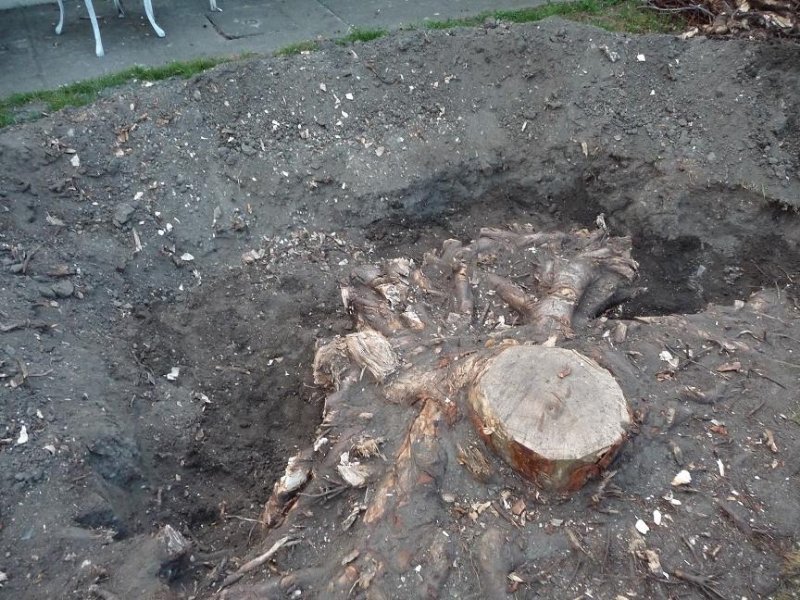 soucha 20-04 vue dessus.JPG