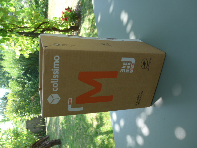 L1110600.JPG