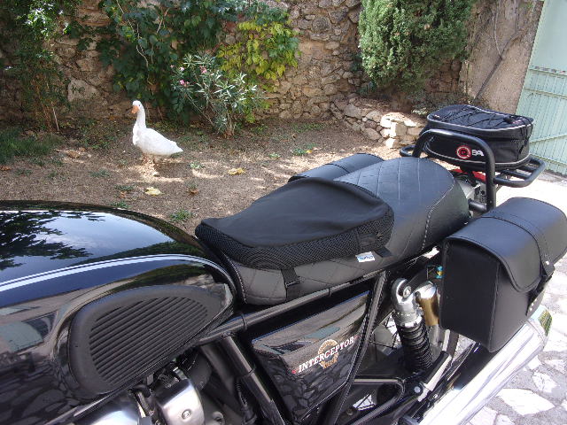 coussin.JPG