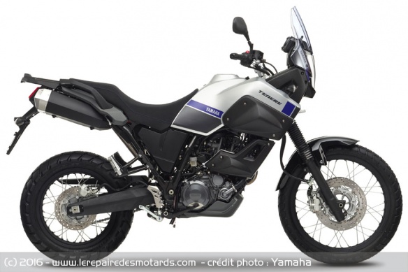 yamaha-xtz660-tenere-profil-studio.jpg