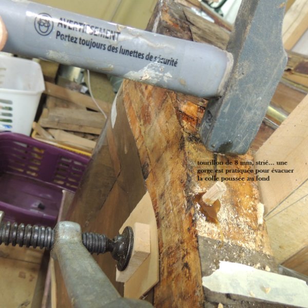 DSCN3464.JPG