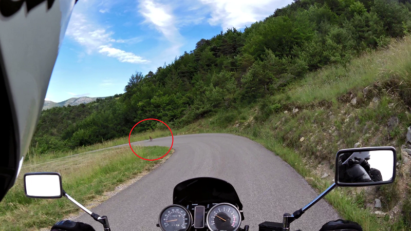 Le loup Drome paint 800.png