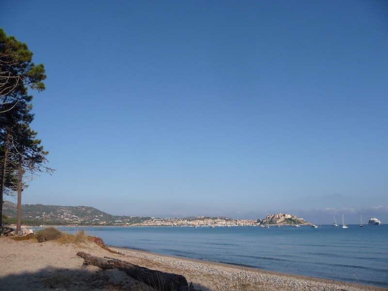 Baie de Calvi.JPG
