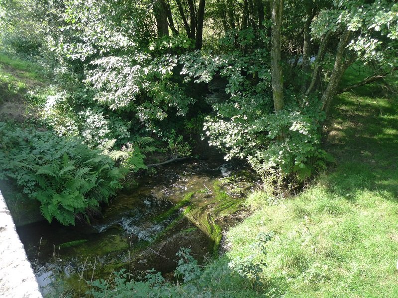 P1080727.JPG