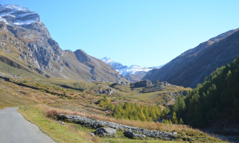 RES116.jpg