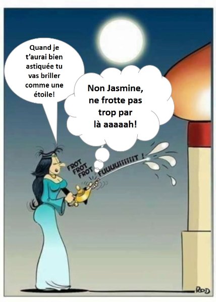 fb_im810bis.jpg
