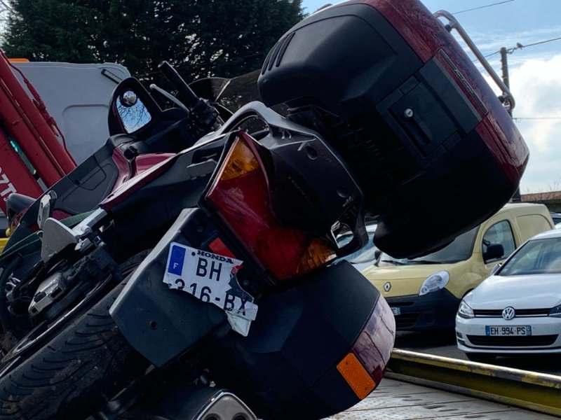 WhatsApp Image 2022-03-06 at 18.45.00 (2).jpeg