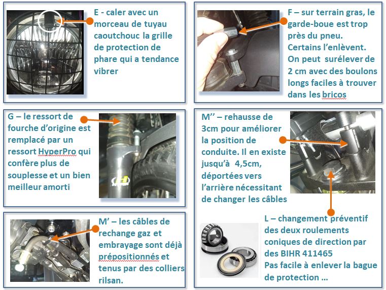 Présentation Thalestris p4.JPG