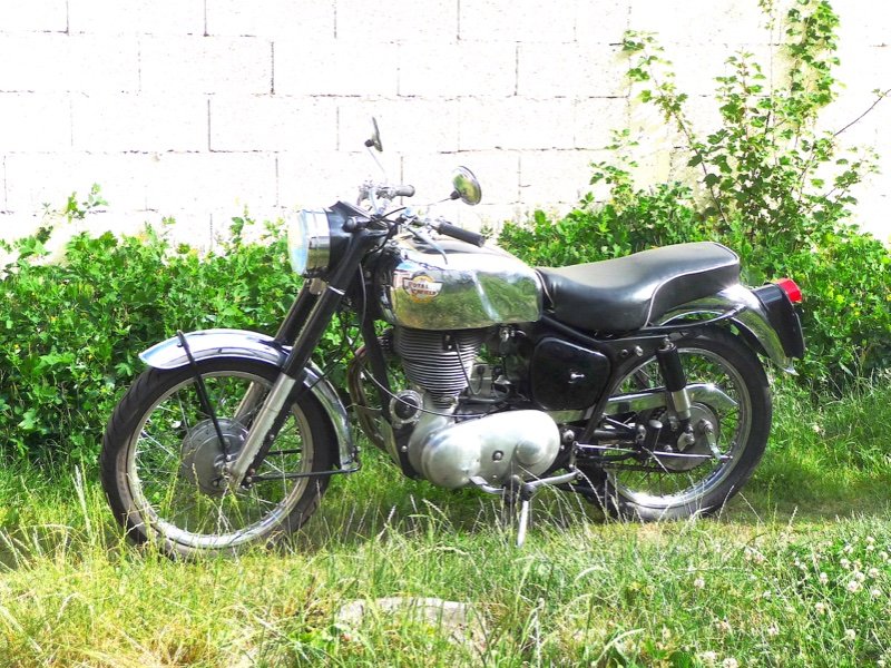 file1.jpg
