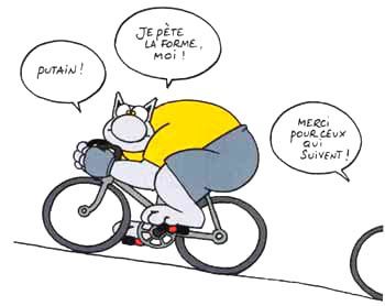 humour-chat-velo.jpg
