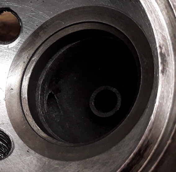 07-Zoom.jpg