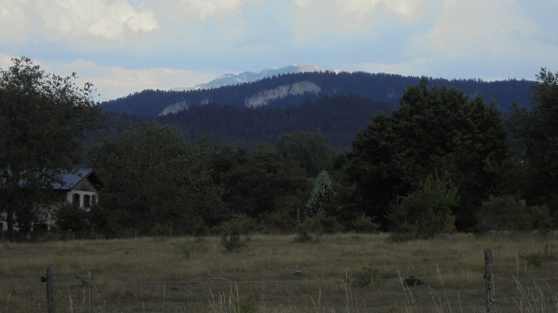 DSC00796.JPG
