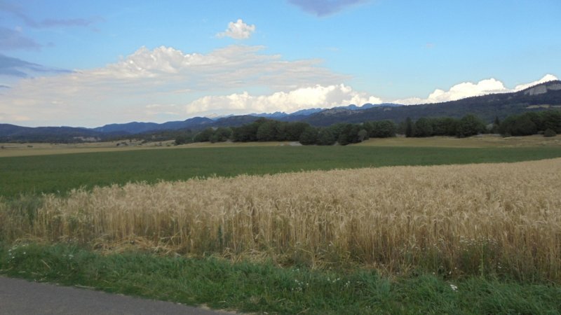 DSC00799.JPG