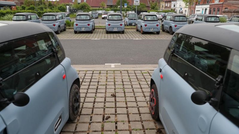 Lycée privé Métrtopole lilloise.jpg