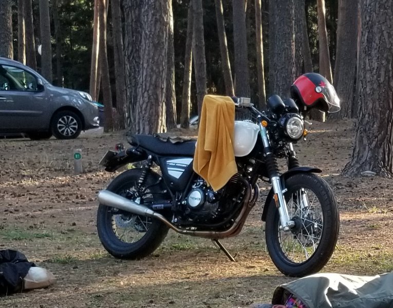 20220813_075503 mini.jpg