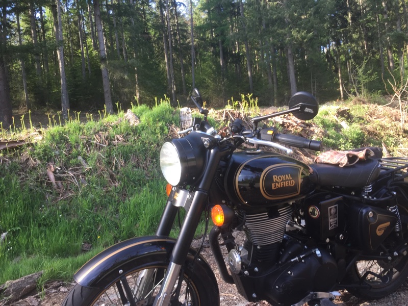 tribute black réduite 2.jpg