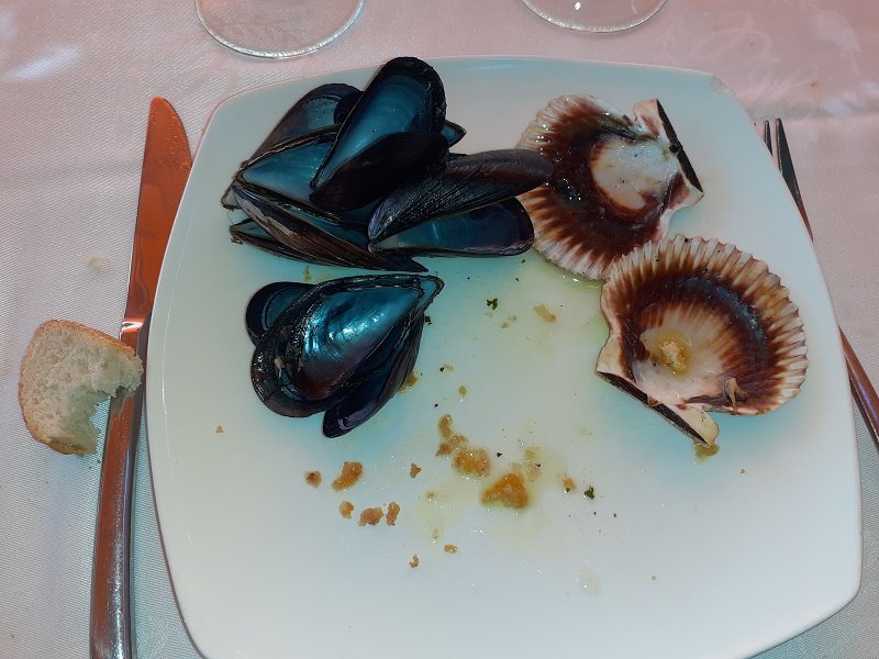 20220925_145131.jpg